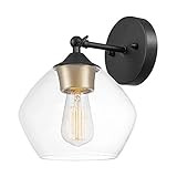 Globe Electric Harrow 1-Light Wall Sconce, Matte Black, Gold Accent Socket, Clear Glass Shade 51367 | Amazon (US)
