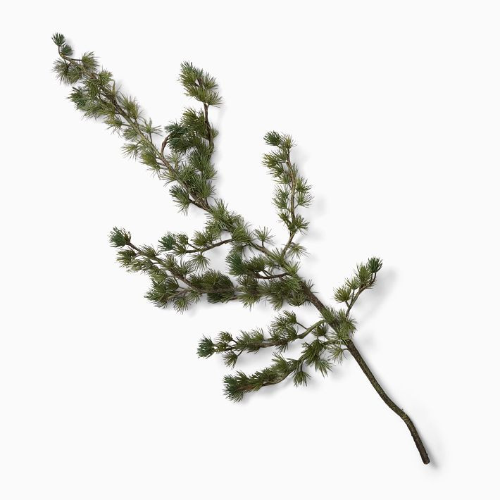 Faux Shimmer Pine Stem | West Elm (US)