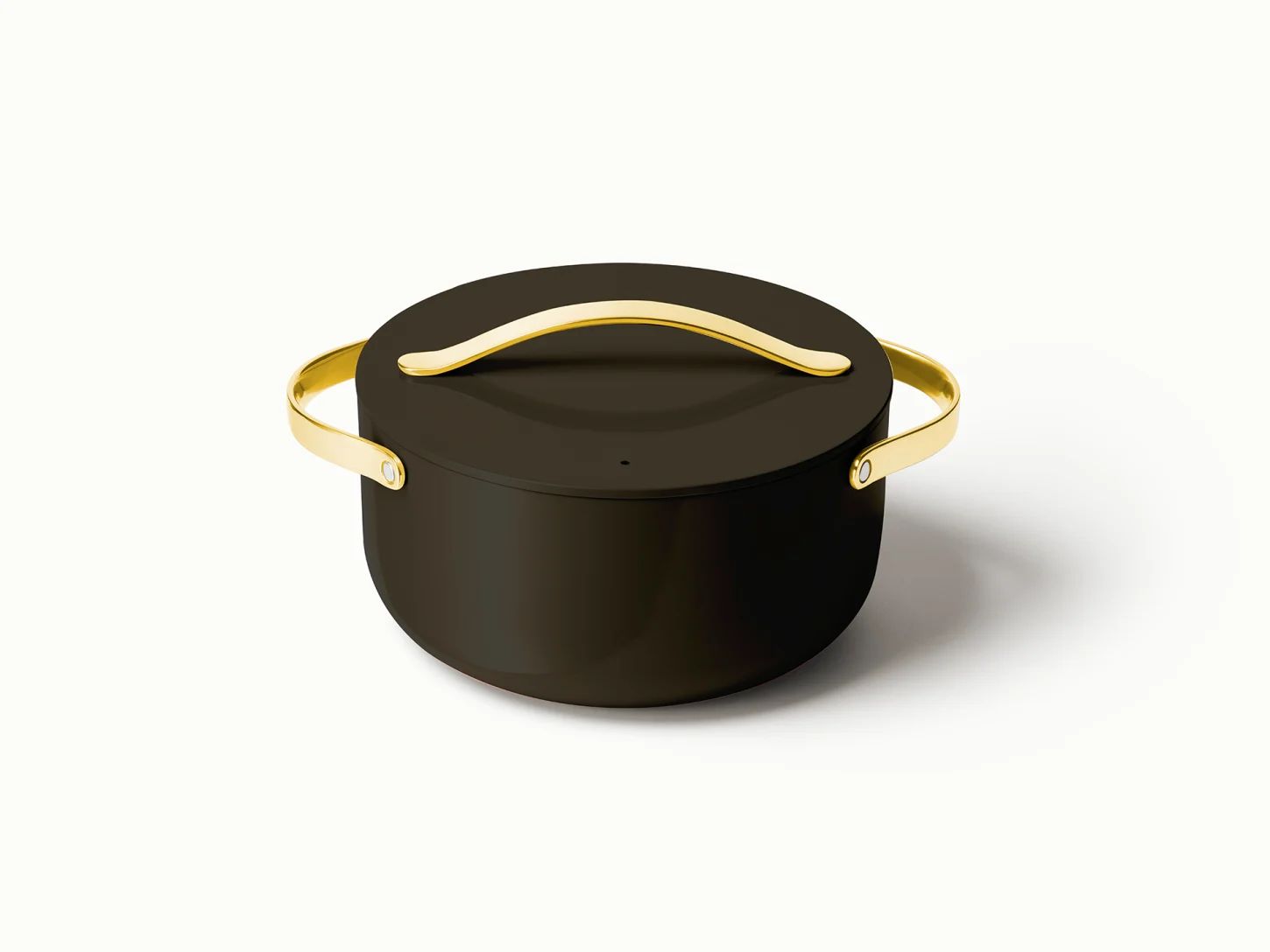 Dutch Oven | Induction, Gas, & Electric Safe | Ceramic Dutch Oven | Caraway | Caraway