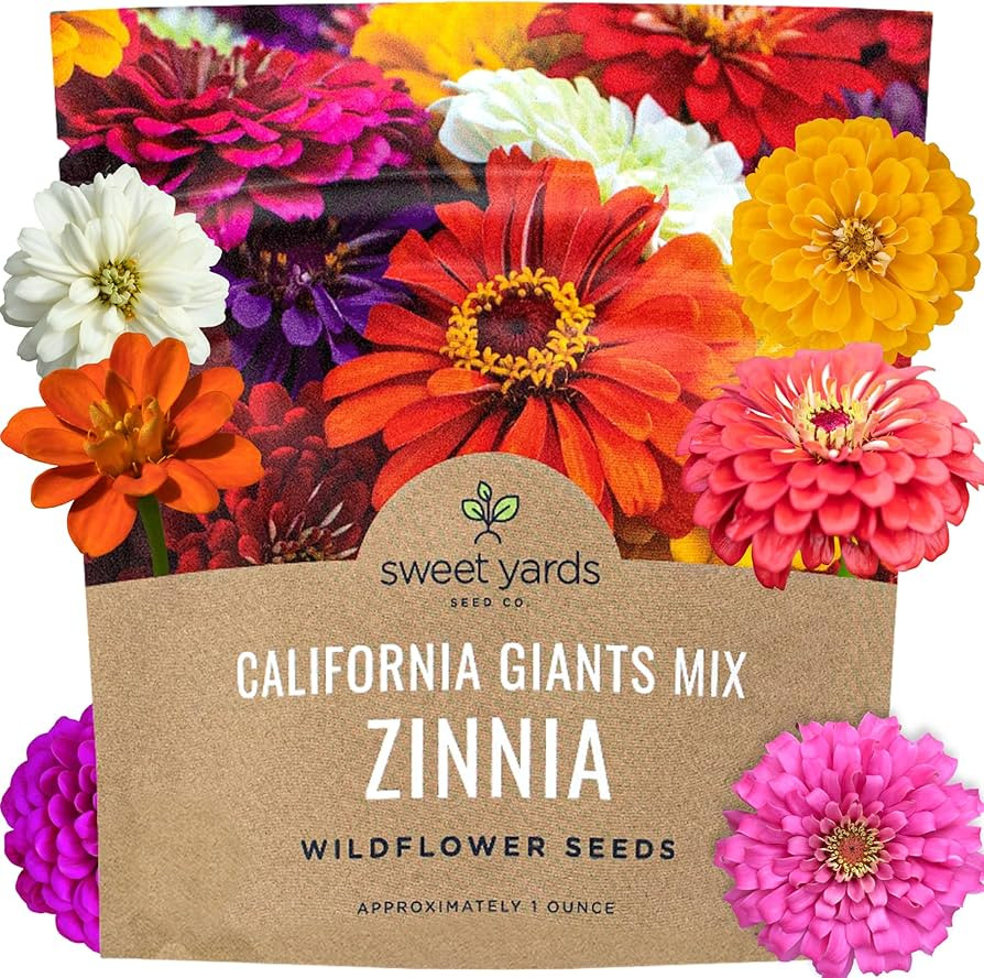 Zinnia Seeds - California Giants Mix - Large 1 Ounce Packet - 3,000 Flower Seeds - Mixed Colors a... | Amazon (US)