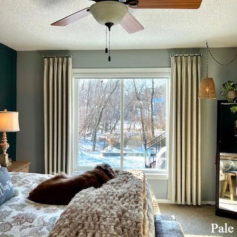 Sia Linen Curtains & Drapes Pleated | Tailorvibe