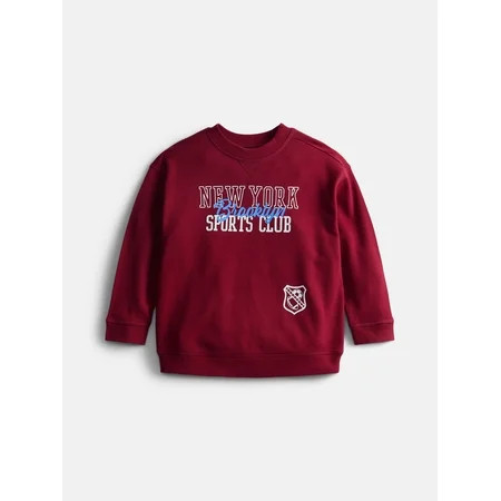 Wonder Nation Little Boys Crewneck Graphic Sweatshirt with Long Sleeves, Sizes 4-10 | Walmart (US)