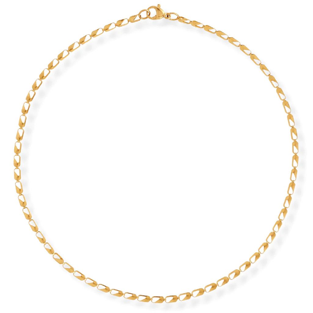 Ellie Vail - Emery Dainty Choker Chain Necklace | Ellie Vail Jewelry