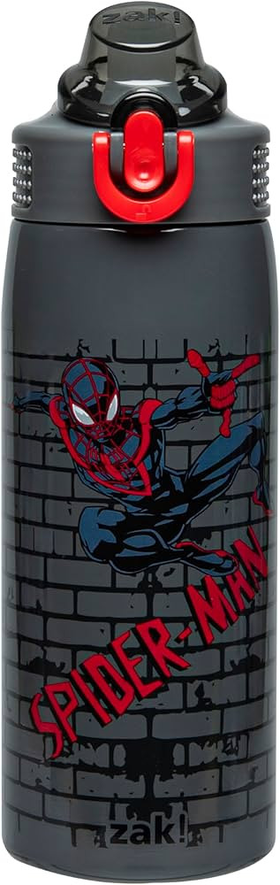 Zak Designs Marvel Spider-Man Sage Kids Water Bottle For School or Travel, 19oz Stainless Steel W... | Amazon (US)