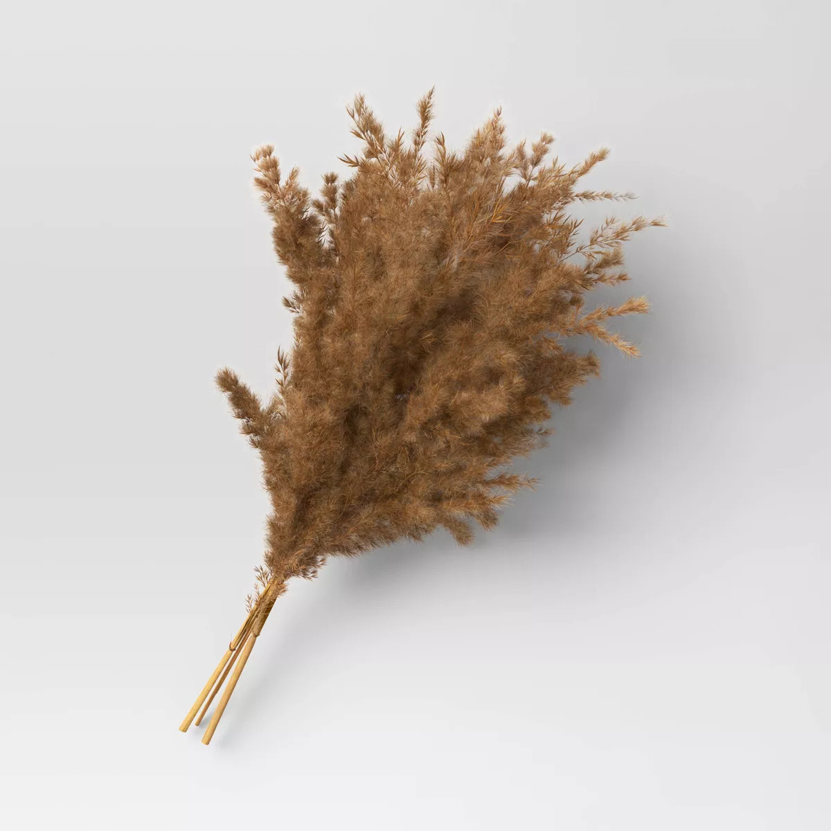 Pampas Grass Bundle - Threshold™ | Target