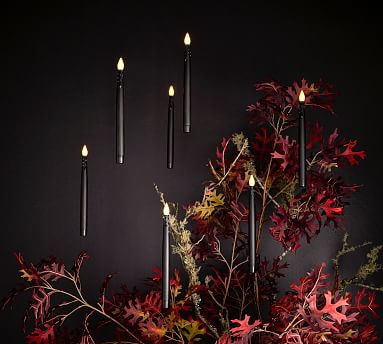 Floating Candle String Lights - Black | Pottery Barn (US)