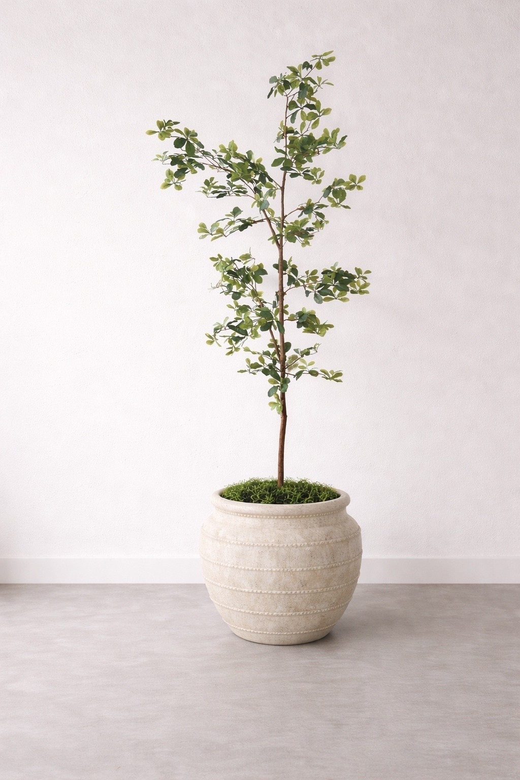 The most stunning brand new indoor / outdoor planter!!! Like the viral Livabliss one, but $400 less 

#LTKHome #LTKSaleAlert