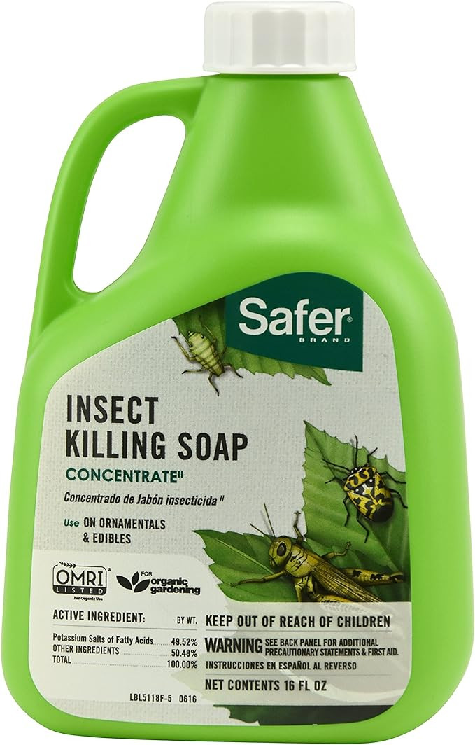 Safer 5118-6 Insect Killing Soap Concentrate - Insecticidal Soap for Plants - Kills Aphids, White... | Amazon (US)