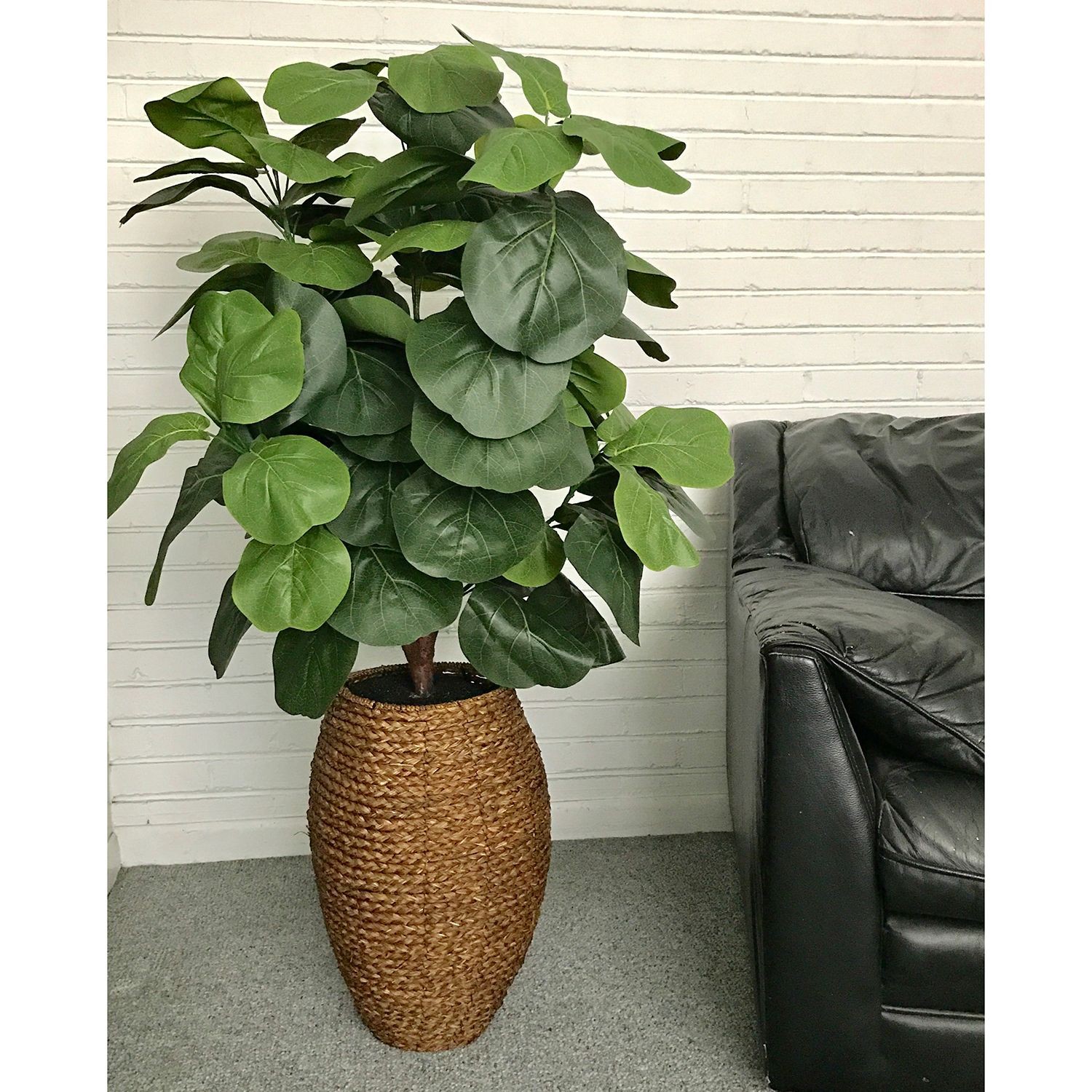 Fiddle-Leaf Fig Tree in a Rope Basket Silk Plant | Pier 1 Imports