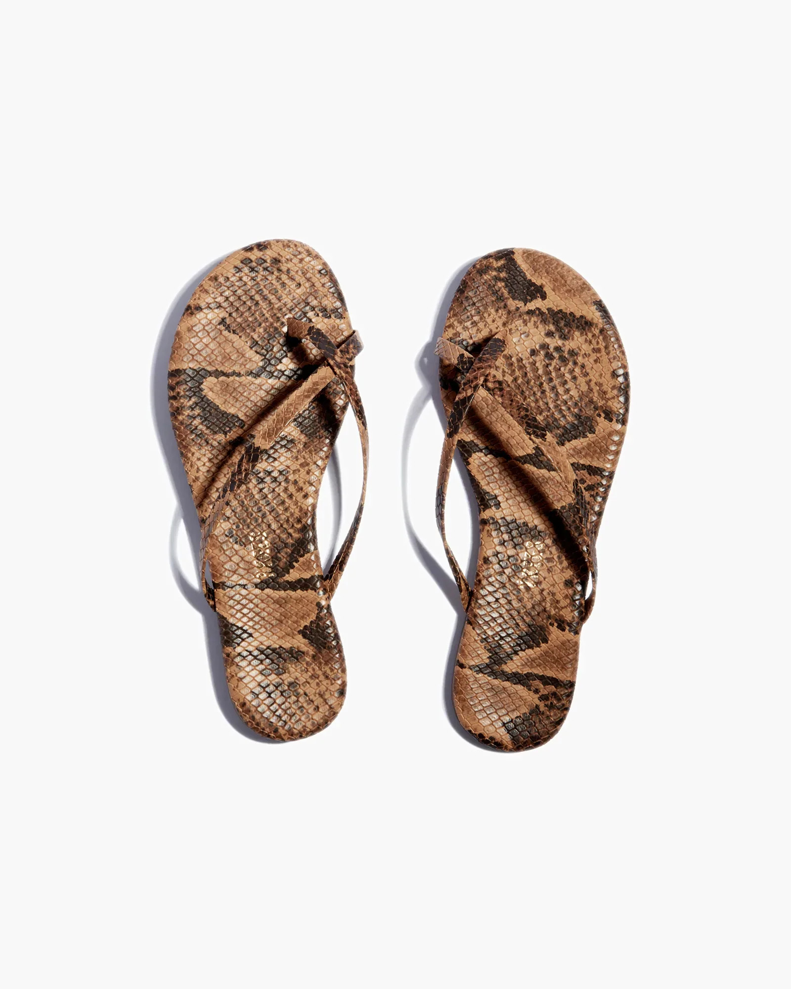 Riley Vegan Animal - Coco Snake | TKEES