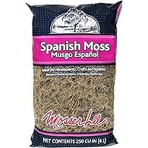 Mosser Lee ML0560 Spanish Moss, 250 Cubic Inches | Amazon (US)