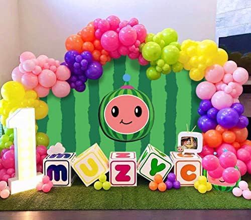 Summer Watermelon Backdrop for Kids 1st 2nd 3rd Happy Birthday Party Cartoon Watermelon Photograp... | Amazon (US)