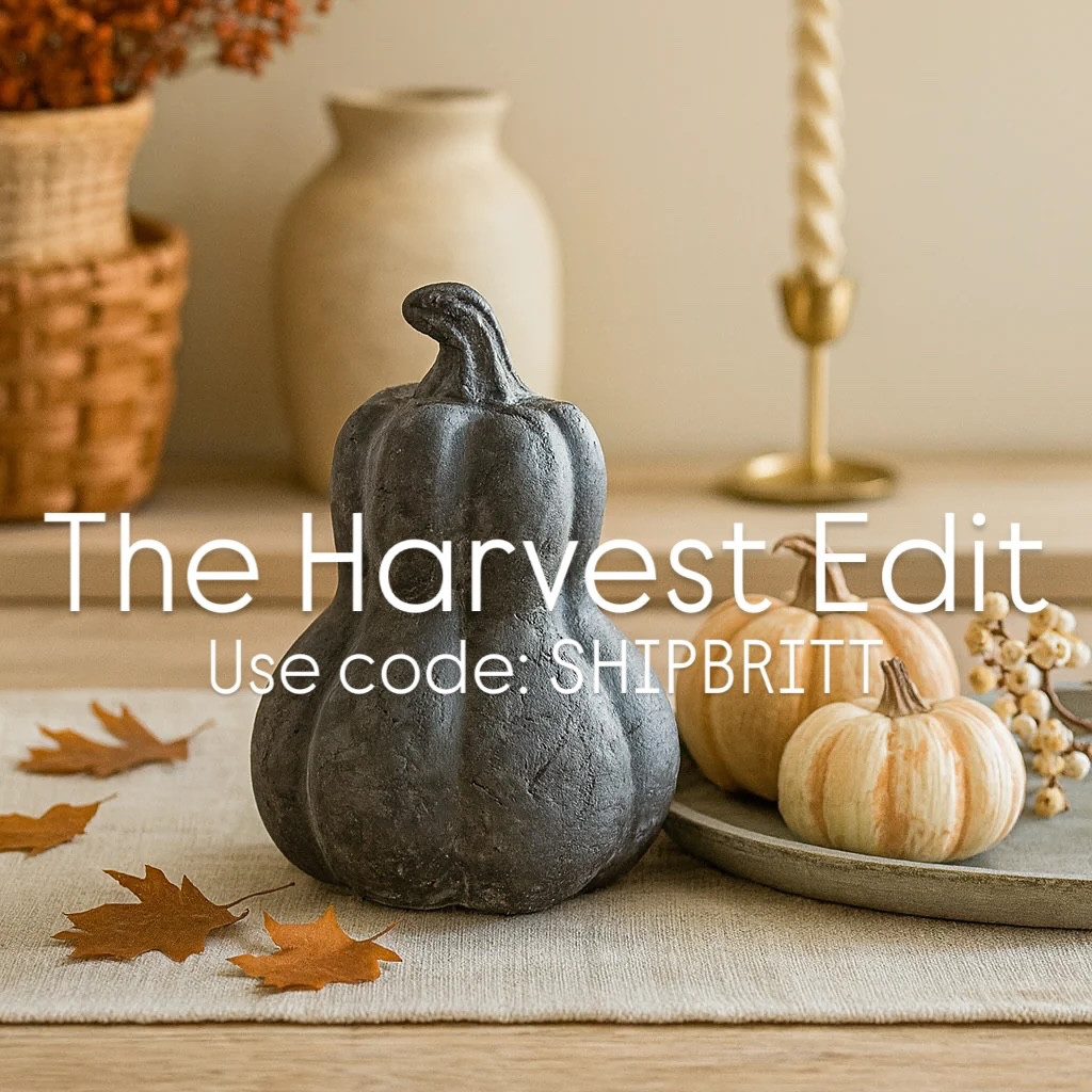 Shop @mjhome_decor_ and have your home ready for Fall with The Harvest Collection. Celebrate the season with a curated collection of cozy fall accents and timeless autumn décor. From ceramic pumpkins and playful ghost figurines to embroidered pillows, candle rings, and seasonal stems, each piece is designed to bring warmth and character to your home. Neutral finishes and elevated details make this collection versatile enough to blend with any style, while still capturing the charm of fall gatherings and Halloween nights. Layer, style, and enjoy the cozy magic of autumn with these exclusive finds. #ad #homedecor #falldecor #fall #accessories #musthaves #homeedit #forthehome #coffeetabledecor #livingroomdecor #seasonal 

#LTKSeasonal #LTKSaleAlert #LTKHome