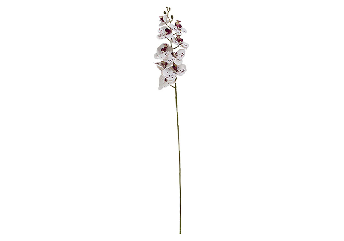 WHITE & PURPLE ORCHID STEM | Alice Lane Home Collection