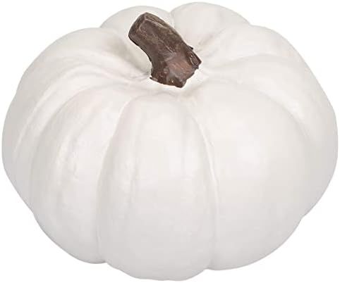 Elanze Designs Classic White 6 inch Resin Harvest Decorative Pumpkin | Amazon (US)