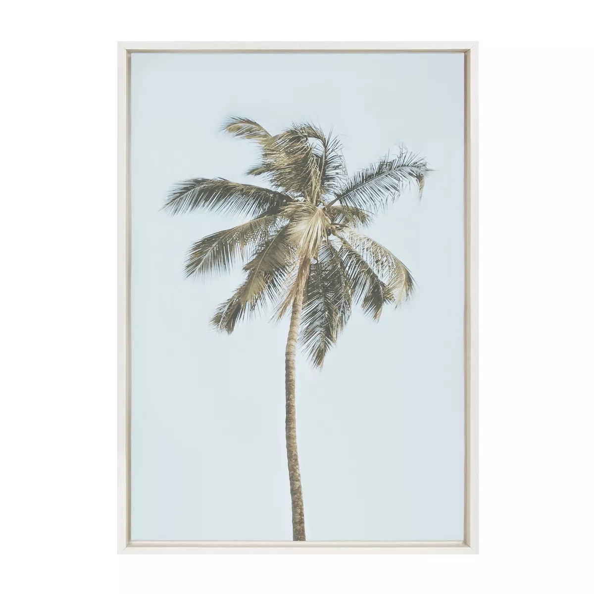 Sylvie One Coconut Palm Tree by The Creative Bunch Studio Framed Wall Canvas - Kate & Laurel All ... | Target