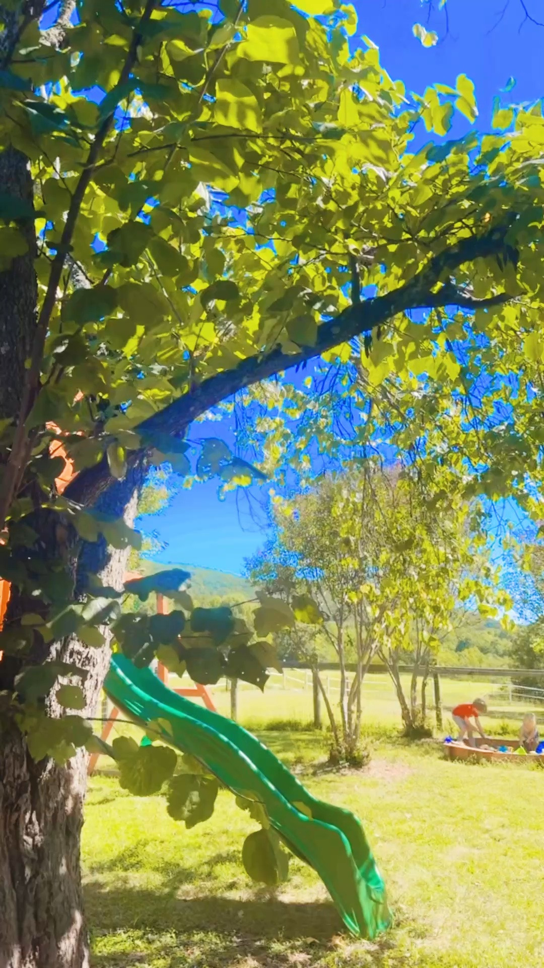 And allllll the play play play 🪏 out in our beautiful countryside backyard full of chickens 🐓, homegrown flowers 💐, and views!!! ⛰️