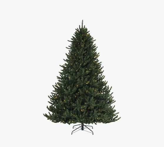 Tree Classics by Balsam Hill Lit Valley Fir Faux Christmas Tree | Pottery Barn (US)