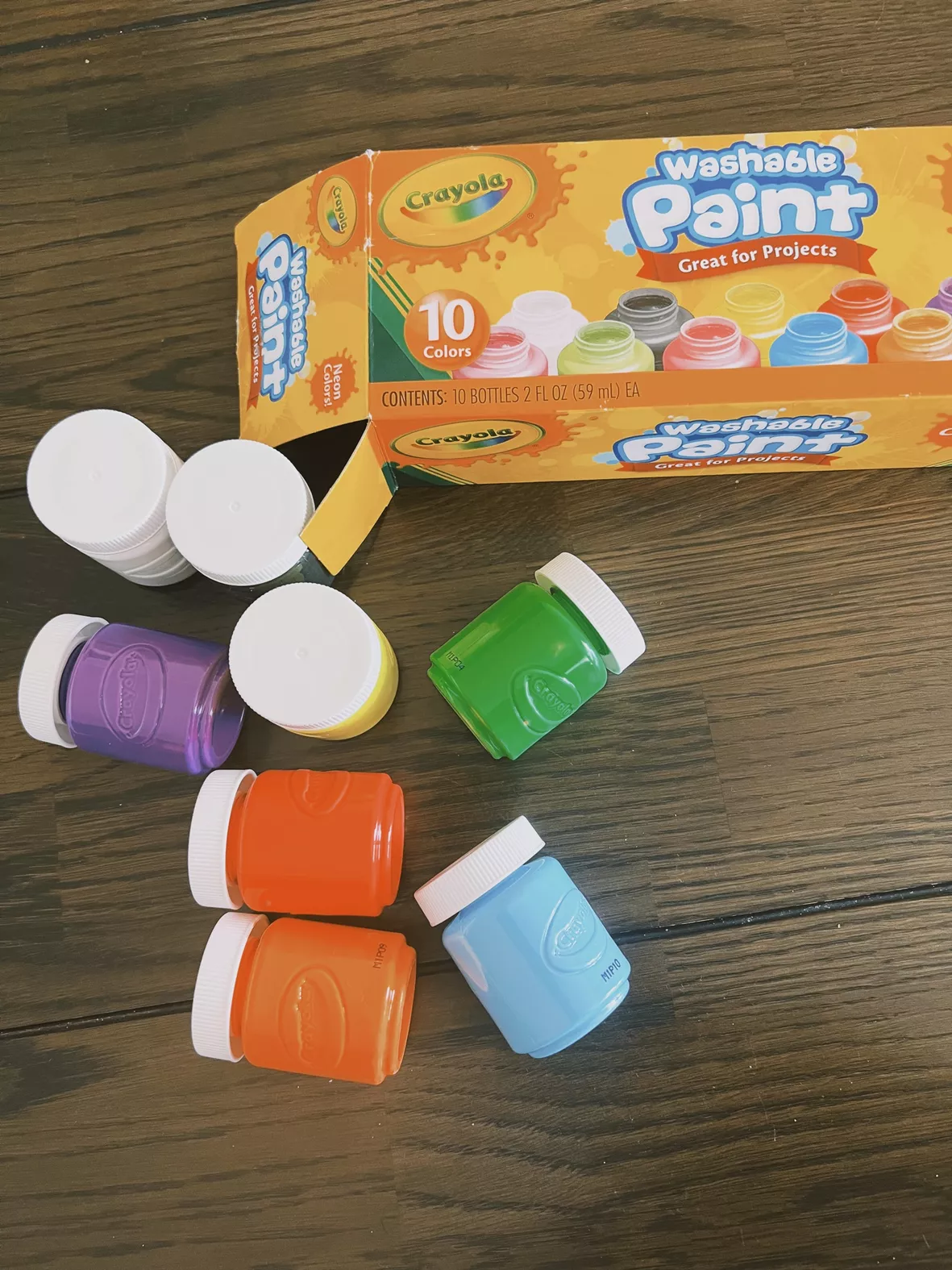Crayola Project Paint Brush Pens Pack
