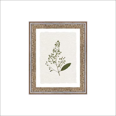 Petal Lane 8"x10" Lucid Central Silver Framed Wall Art Gold | Target
