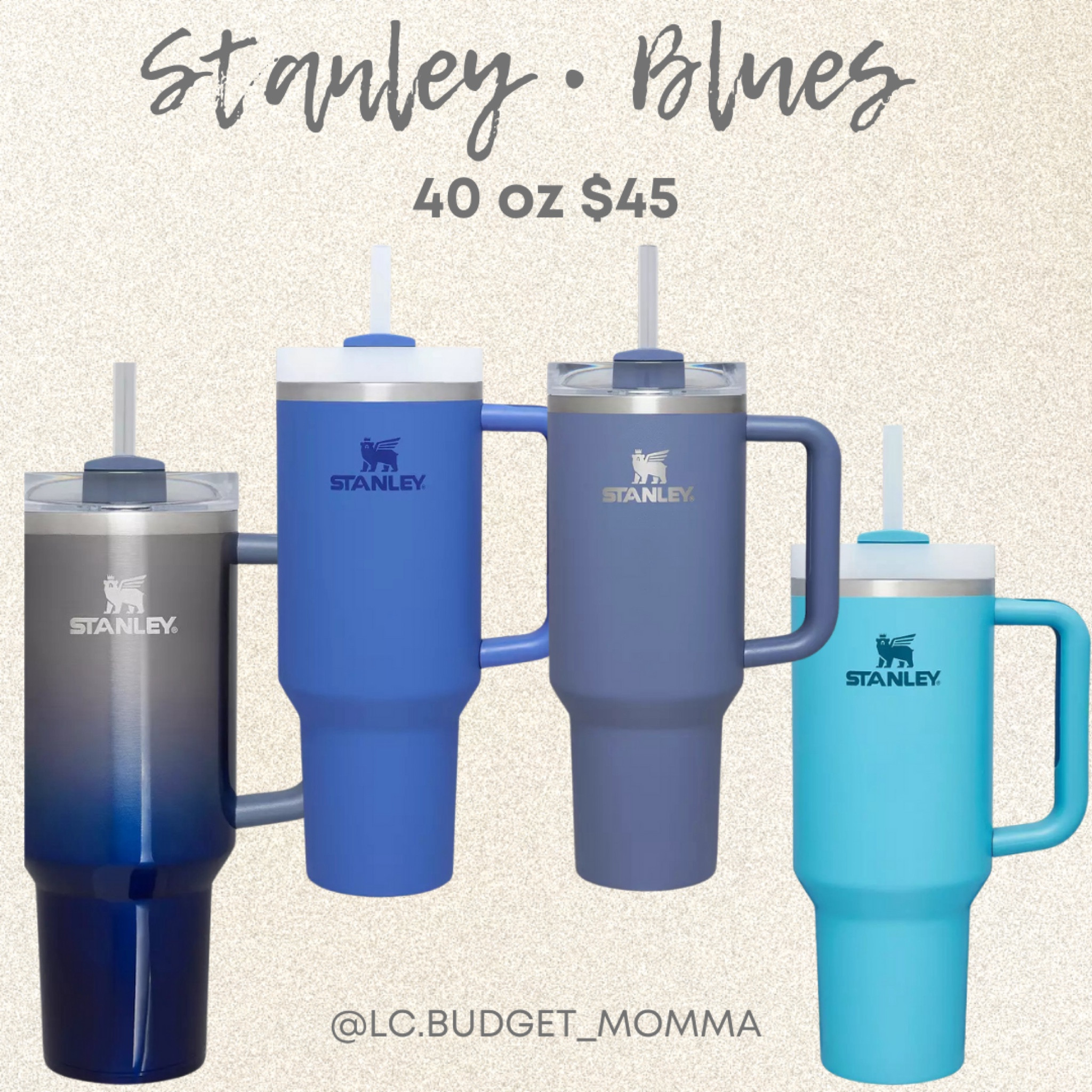 Stanley • Blues • 40 oz 
Dicks Sporting Goods Edition ✨

#blue #stanley #tumbler #dickssportinggoods 

#LTKHoliday #LTKSeasonal #LTKGiftGuide