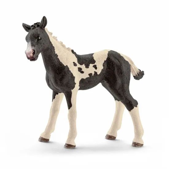 Pinto foal | Schleich USA Inc.