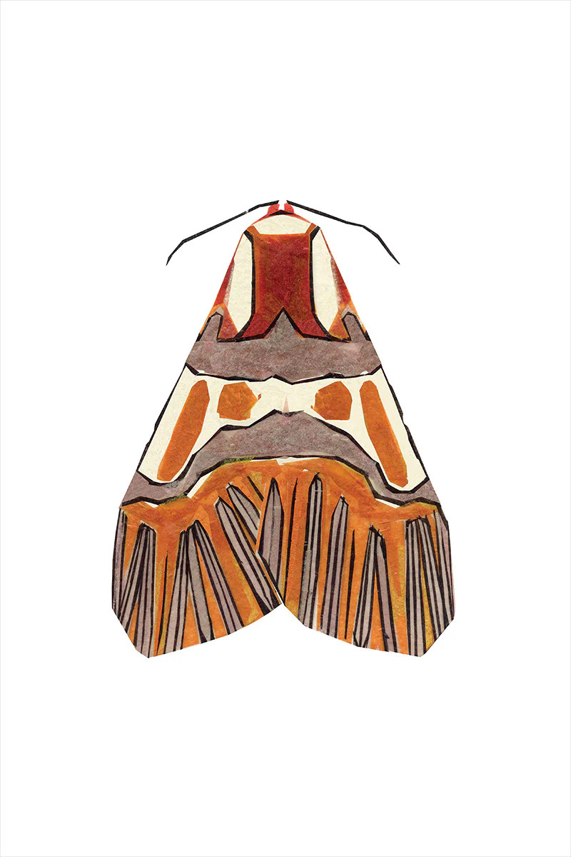 Moth I | Juniper Print Shop
