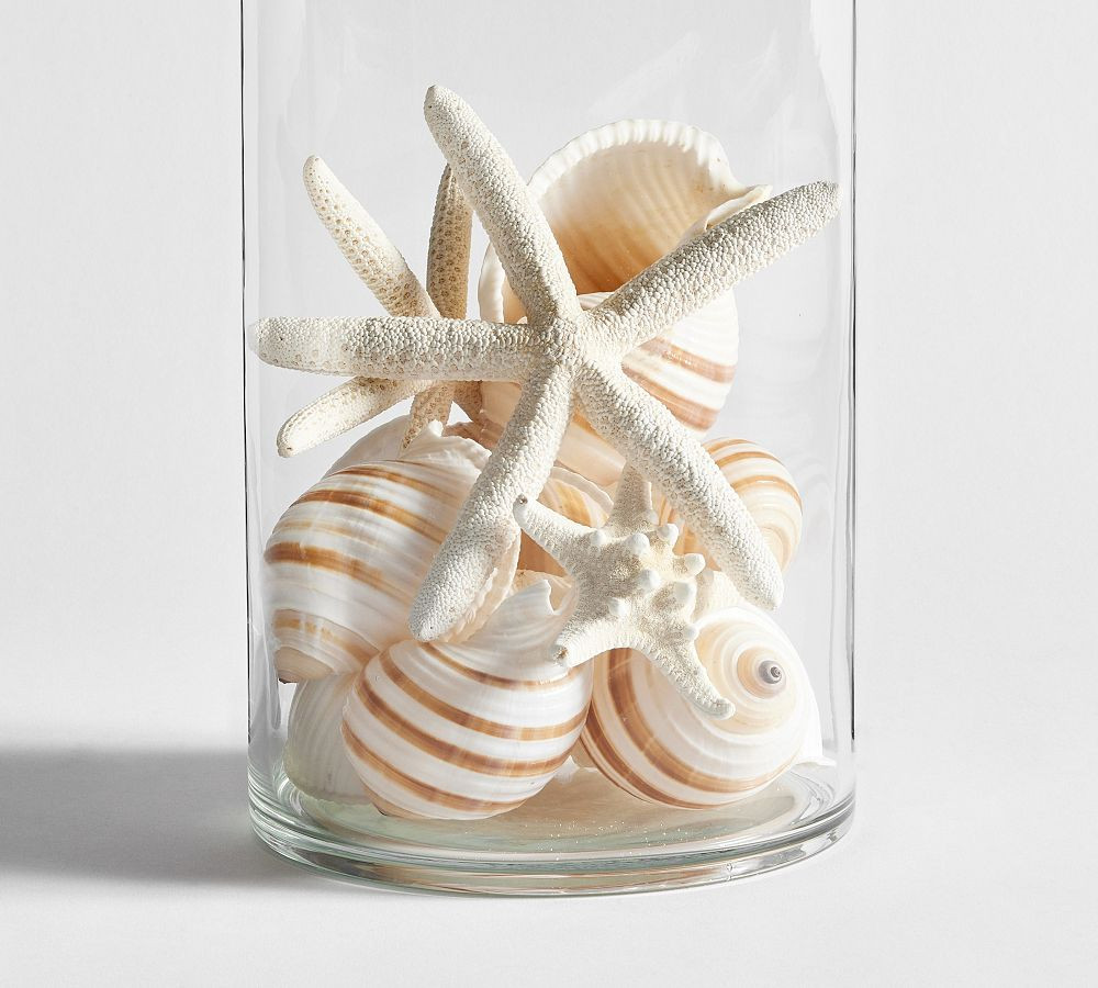Mixed Shell Vase Filler | Pottery Barn (US)
