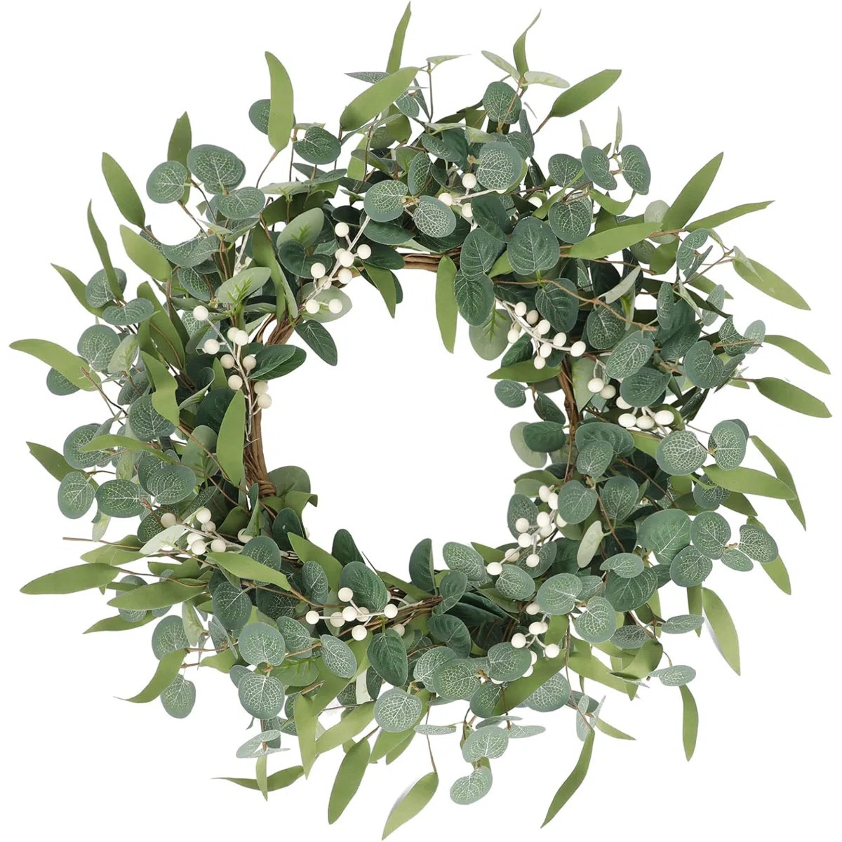 20 Inch Eucalyptus Wreath | Wayfair North America