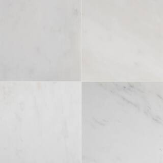 MSI Greecian White 12 in. x 12 in. Polished Marble Floor and Wall Tile (5 sq. ft./Case), Greecian White Polished | The Home Depot