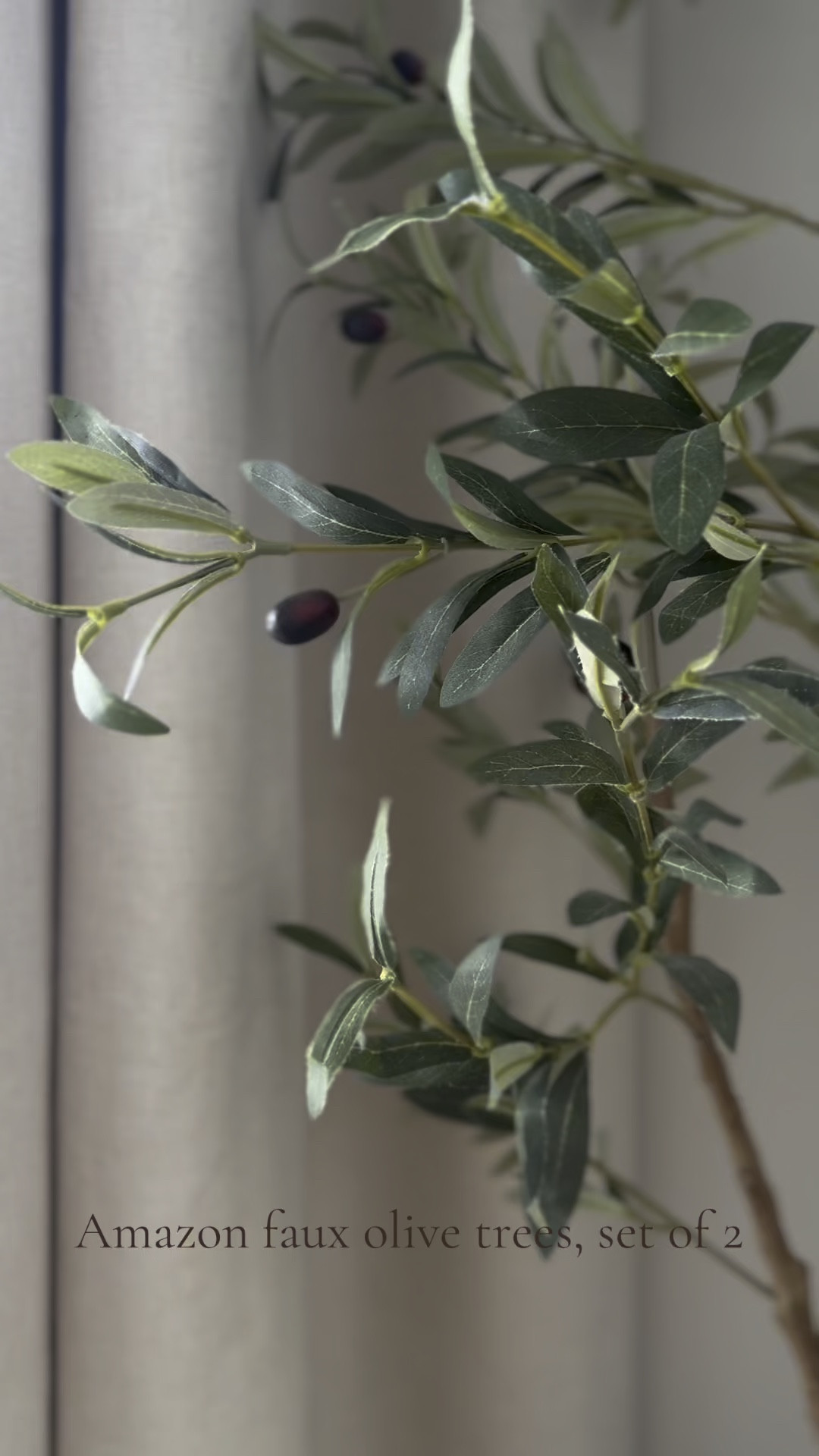 Amazon 7 ft faux olive tree (set of 2) | Lowe’s planters | faux moss | planters | faux indoor plants

#LTKHome #LTKStyleTip