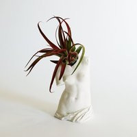 Venus De Milo Ancient Greek Statue Concrete Air Planter | Etsy (US)