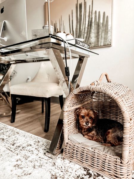 Pet-friendly home office solutions  

#LTKStyleTip #LTKHome