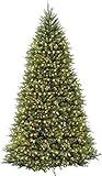 National Tree Company Pre-Lit Artificial Full Christmas Tree, Green, Dunhill Fir, Clear Lights, I... | Amazon (US)
