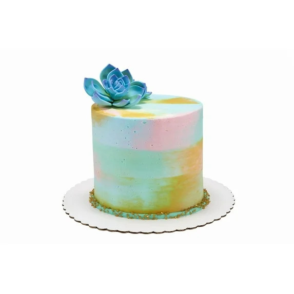 Watercolor Succulent Barrel Cake | Walmart (US)