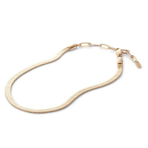 JENNY BIRD Zeina Anklet | High Polish Gold, Lobster Clasp | Sleek, Chunky Designer Jewelry for Women | Amazon (US)
