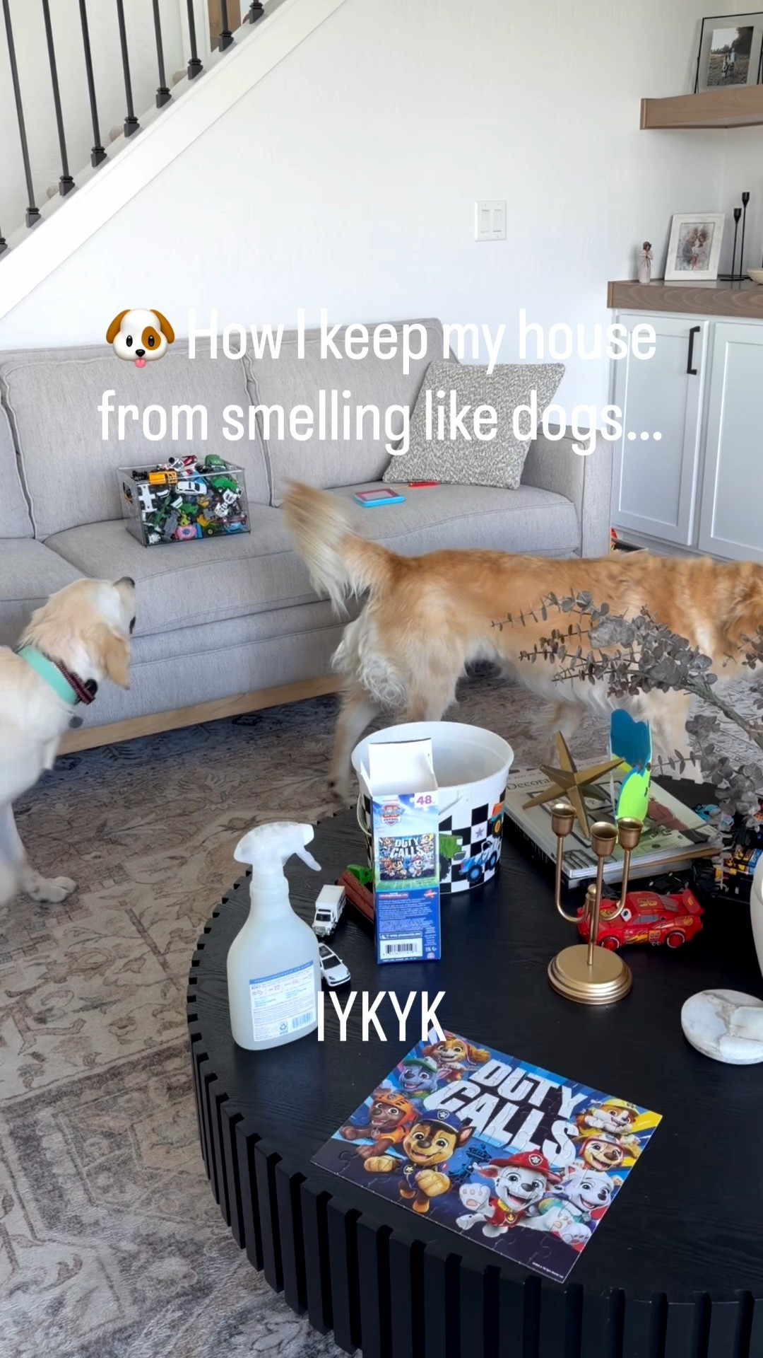 My little secret for keeping my house from smelling like dogs? 🐾✨

With pups running around, I’m constantly looking for easy ways to keep our home feeling fresh. Lately I’ve been reaching for Mrs. Meyer’s Fabric Freshener on couches, blankets, and all the cozy spots my dogs love most. A quick spritz and everything feels refreshed again. 🌿🤍

#MrsMeyersPartner #CleanHome #DogMomLife #HomeRefresh #MrsMeyersCleanDay

#LTKdayinmylife #LTKmomlife #LTKmorningroutine