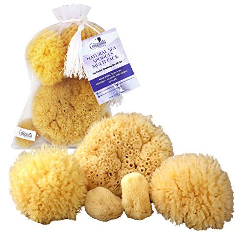 Natural Sea Sponges the Perfect Spa Gift Set by Constantia Beauty (5 pack) | Amazon (US)
