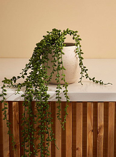 Artificial string of pearls green plant
        
        

	
		
        
             
							
		... | Simons