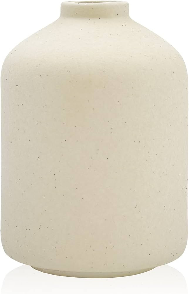 Ceramic Vase for Home Decor,Ceramic Vase, Dried Flower Vase, Living Room Decoration, Flower Arran... | Amazon (US)