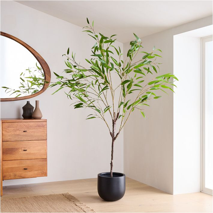 Faux Potted Eucalyptus Tree | West Elm (US)