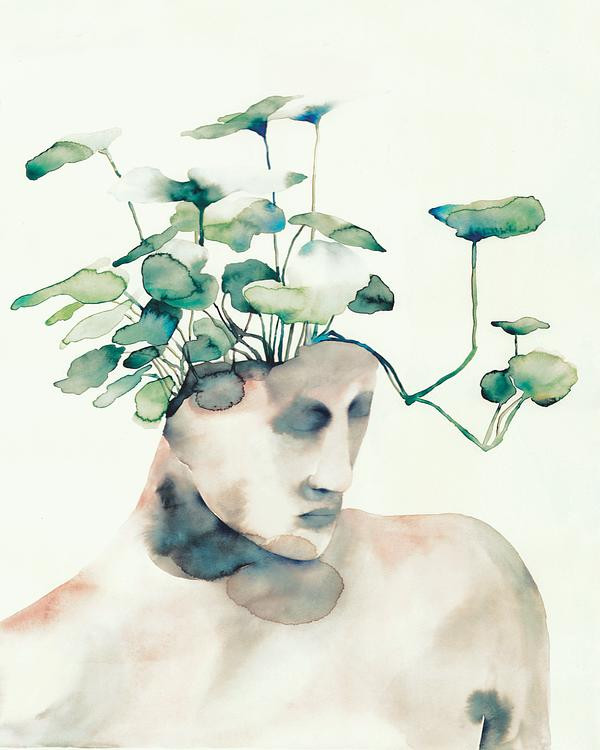 Metamorphosis | Artfully Walls