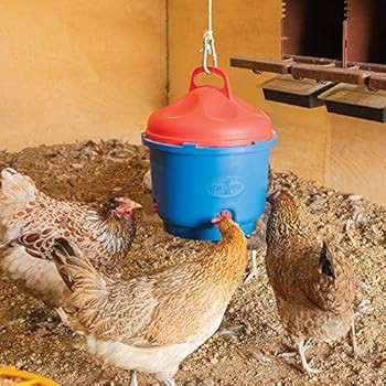 Premier Heated Poultry Waterer - 3 Gallon | Amazon (US)