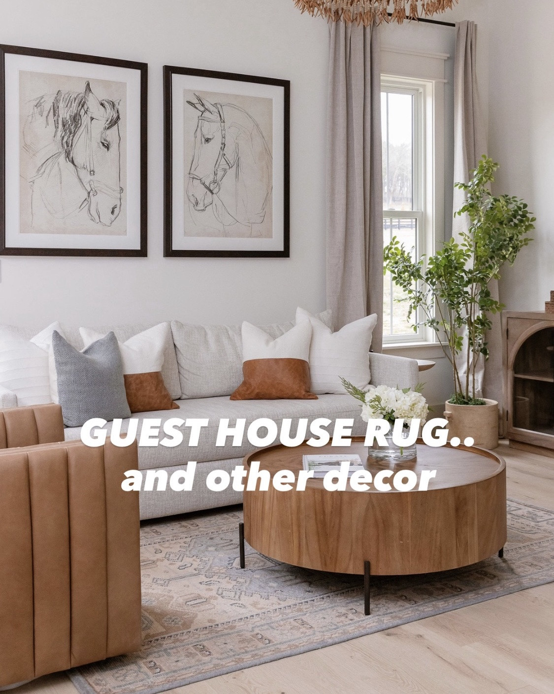 One of my favorite rugs, this Pottery Barn piece perfectly blends with a variety of styles while adding a subtle pop of a neutral blue.