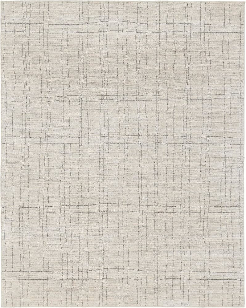 Nourison Santa Cruz Abstract Ivory Grey 9' x 12' Area Rug, Easy-Cleaning, Non Shedding, Bed Room, Living Room, Dining Room, Kitchen (9x12) | Amazon (US)