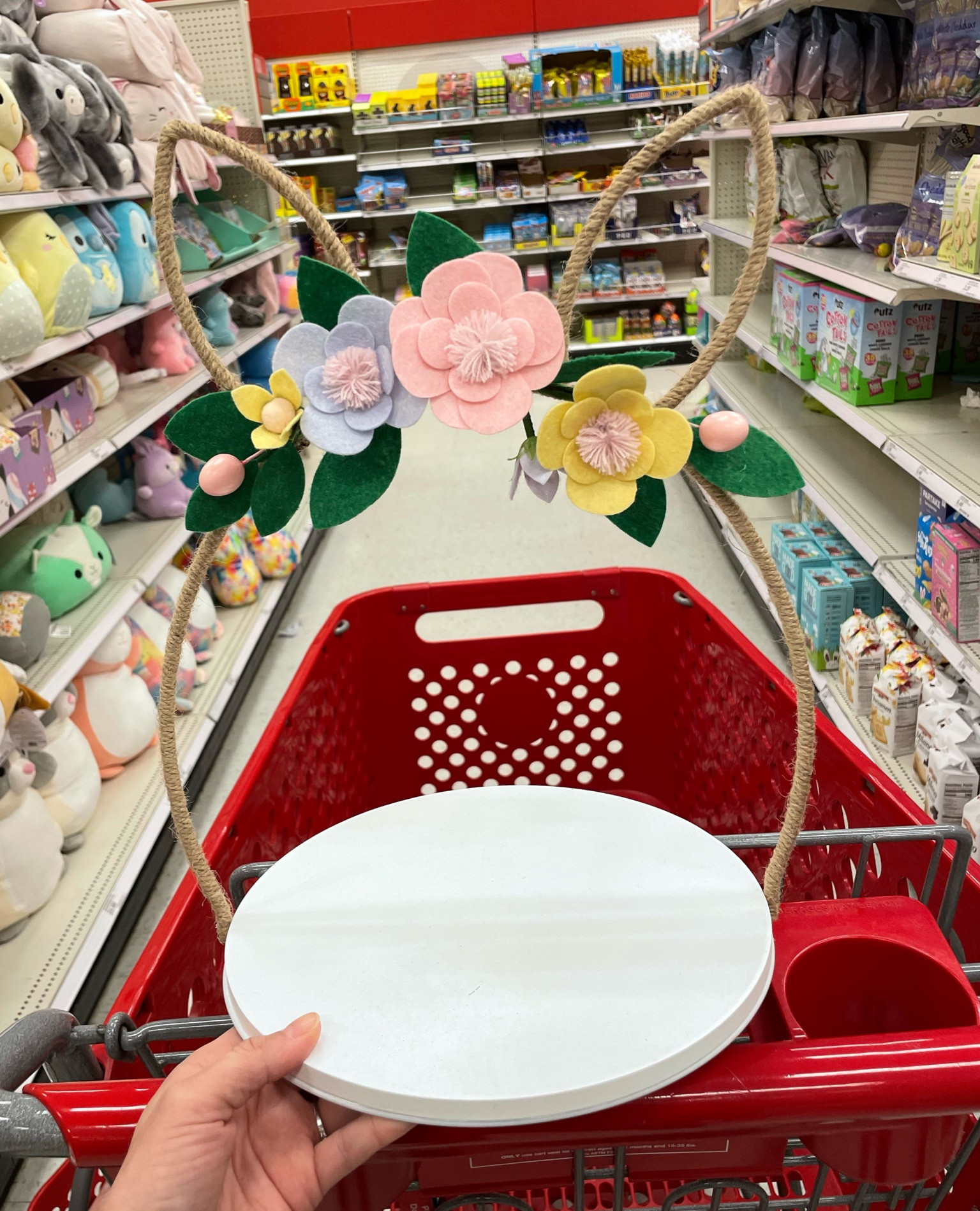New Easter items at Target. These seasonal items sell out fast and catching them on a restock is a challenge 

#LTKSeasonal #LTKfamily #LTKhome