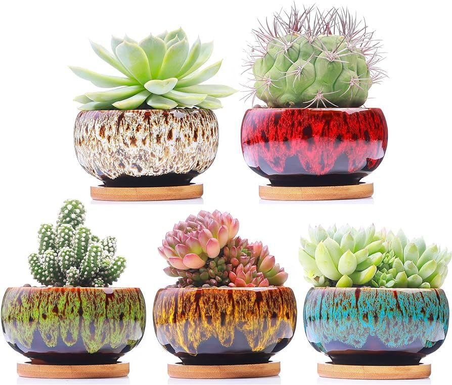 LAMDAWN Cute Ceramic Succulent Garden Pots, Planter with Drainage and Attached Saucer, Set of 5 -... | Amazon (US)