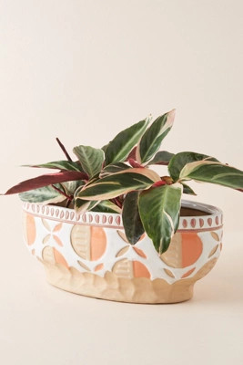 Blossom Plant Pot | Anthropologie (UK)