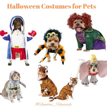 Pets // Halloween // Costumes 

#LTKHalloween #LTKfamily #LTKSeasonal