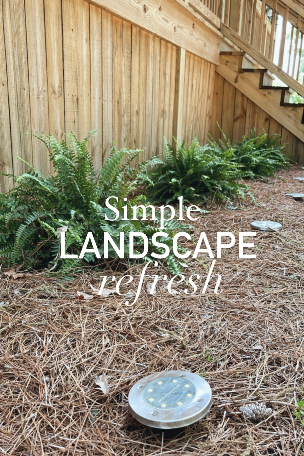 Low maintenance is my kind of yard!!!

Around the base of our deck I added ferns, fresh pinestraw and out my solar pathway lights back in place.



#LTKhome #LTKfindsunder50 #LTKSeasonal